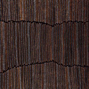 Ngapa Jukurrpa (Water Dreaming)  -  Puyurru by Chantelle Nampijinpa Robertson