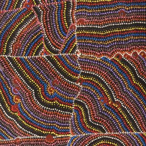 Lappi Lappi Jukurrpa (Lappi Lappi Dreaming) by Florence Nungarrayi Tex