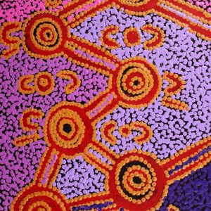 Wardapi Jukurrpa (Goanna Dreaming) - Yarripilangu by Ruth Nungarrayi Spencer