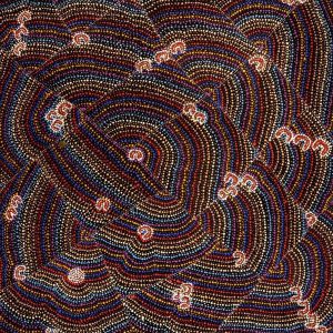 Lappi Lappi Jukurrpa (Lappi Lappi Dreaming) by Florence Nungarrayi Tex