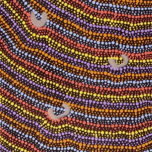 Lappi Lappi Jukurrpa (Lappi Lappi Dreaming) by Florence Nungarrayi Tex