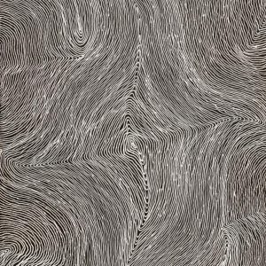 Ngurlu Jukurrpa (Native Seed Dreaming) by Senita Napangardi Granites
