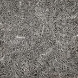 Ngurlu Jukurrpa (Native Seed Dreaming) by Senita Napangardi Granites