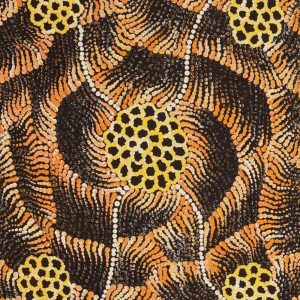 Pamapardu Jukurrpa (Flying Ant Dreaming)  - Warntungurru by Vanessa Nampijinpa Brown