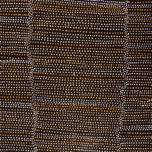 Ngapa Jukurrpa (Water Dreaming)  -  Puyurru by Chantelle Nampijinpa Robertson