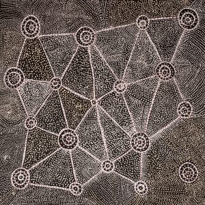 Ngapa Jukurrpa (Water Dreaming)  -  Puyurru by Christopher Japangardi Michaels