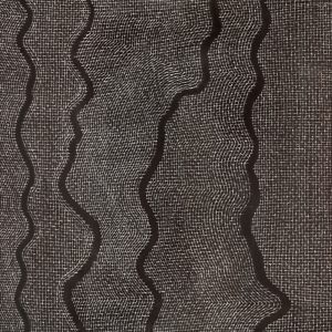 Ngalyipi Jukurrpa (Snakevine Dreaming) - Mina Mina by Valda Napangardi Granites
