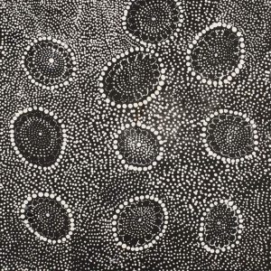 Ngapa Jukurrpa (Water Dreaming)  - Mikanji by Lola Nampijinpa Brown
