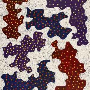 Patterns of the Landscape around Yuendumu by Sarah-Jane Nampijinpa Singleton