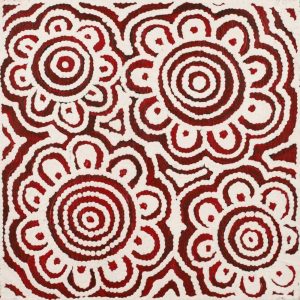 Ngapa Jukurrpa (Water Dreaming)  - Mikanji by Agnes Nampijinpa Brown