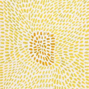 Warlukurlangu Jukurrpa (Fire country Dreaming) by Peggy Nampijinpa Brown