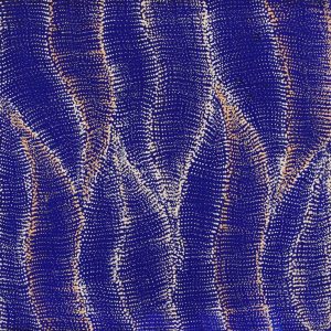 Wanakiji Jukurrpa (Bush Tomato Dreaming) by Debbie Napaljarri Brown