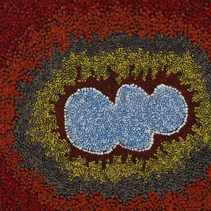 Pirlarla Jukurrpa (Dogwood Tree Bean Dreaming) by Peggy Napurrurla Granites