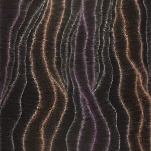 Wanakiji Jukurrpa (Bush Tomato Dreaming) by Debbie Napaljarri Brown