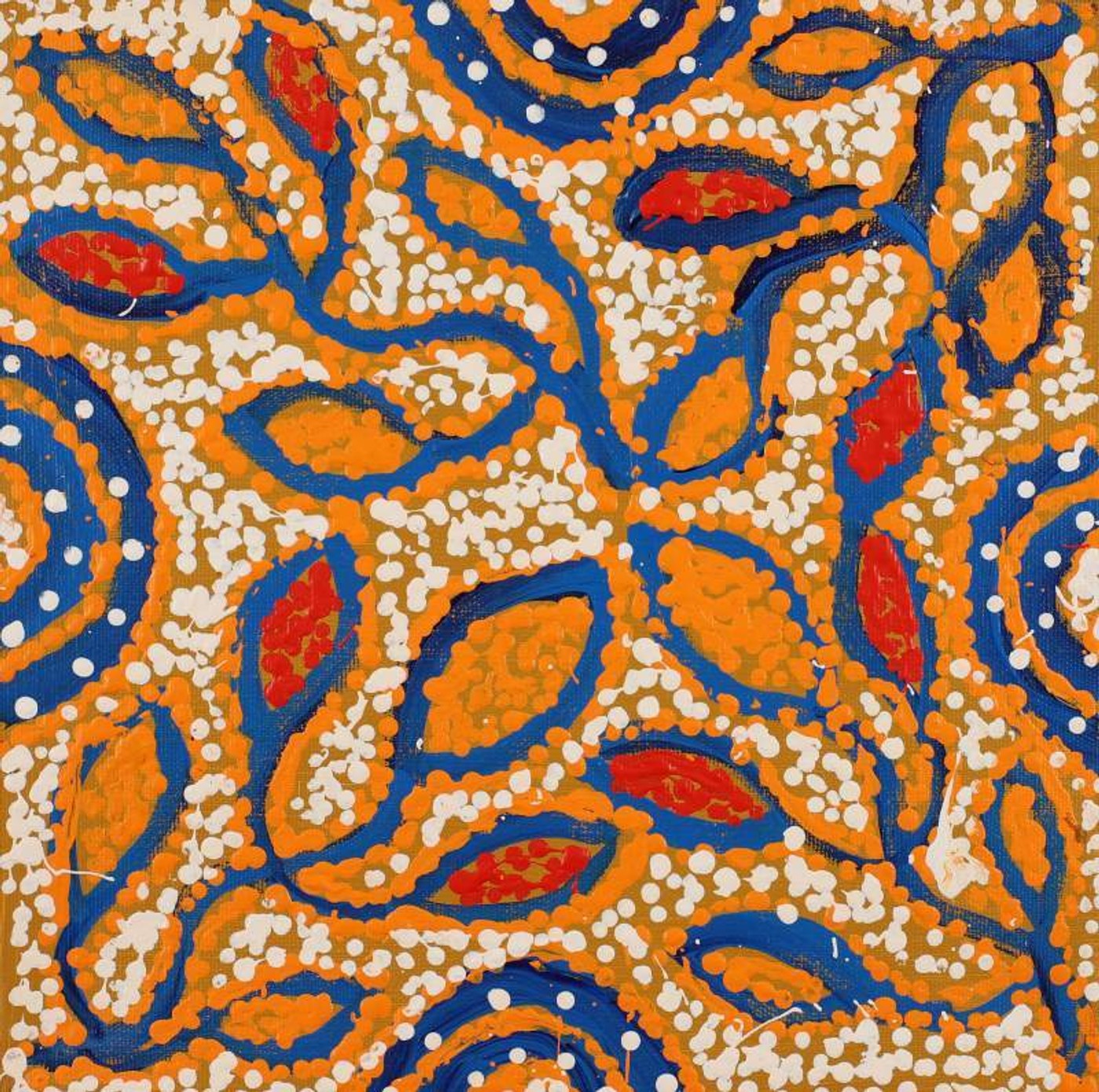 Ngapa Jukurrpa (Water Dreaming) - Mikanji by Juliette Nampijinpa Brown