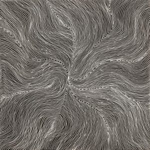 Ngurlu Jukurrpa (Native Seed Dreaming) by Senita Napangardi Granites