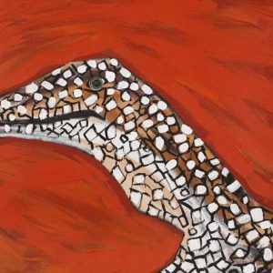 Cherylyn Napangardi Granite by Cherylyn Napangardi Granites
