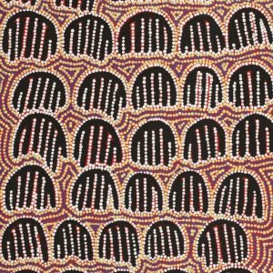 Ngapa Jukurrpa (Water Dreaming)  -  Puyurru by Azaria Nampijinpa Robertson