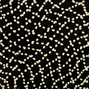 Warlukurlangu Jukurrpa (Fire country Dreaming) by Warlukurlangu Artists