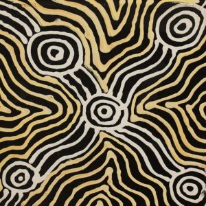 Ngapa Jukurrpa (Water Dreaming)  - Mikanji by Warlukurlangu Artists