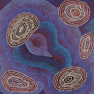 Ngapa Jukurrpa (Water Dreaming)  - Mikanji by Agnes Nampijinpa Brown