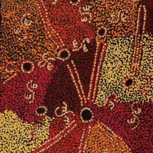 Wardapi Jukurrpa (Goanna Dreaming) - Yarripilangu by Ruth Nungarrayi Spencer