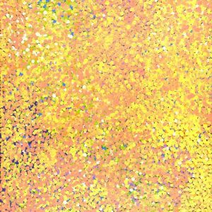 Wardapi Jukurrpa (Goanna Dreaming) - Yarripilangu by Ruth Nungarrayi Spencer