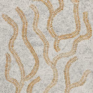 Karnta Jukurrpa (Women's Dreaming) - Bush Medicine by Patricia Nakamarra Oldfield