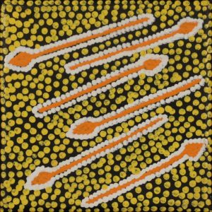 Janganpa Jukurrpa (Brush-tail Possum Dreaming) -  Mawurrji by Warlukurlangu Artists