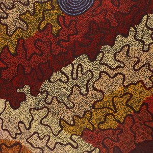 Ngapa Jukurrpa (Water Dreaming)  -  Puyurru by Kelly-Anne Nungarrayi Gibson