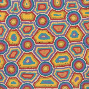 Ngapa Jukurrpa (Water Dreaming)  - Mikanji by Janita Nampijinpa Gallagher