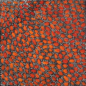 Wardapi Jukurrpa (Goanna Dreaming) - Yarripilangu by Sebastian Jupurrurla Wilson