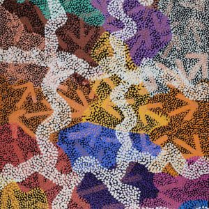 Yankirri Jukurrpa (Emu Dreaming) - Ngarlikirlangu by Margaret Nangala Gallagher