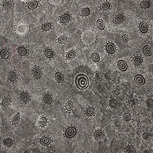 Ngapa Jukurrpa (Water Dreaming)  - Mikanji by Lola Nampijinpa Brown