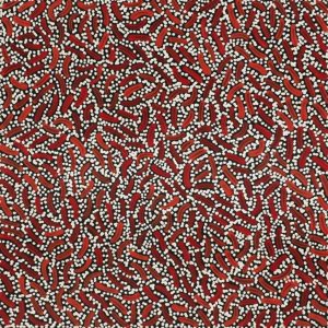 Warlukurlangu Jukurrpa (Fire country Dreaming) by Nathania Nangala Granites