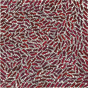 Warlukurlangu Jukurrpa (Fire country Dreaming) by Nathania Nangala Granites