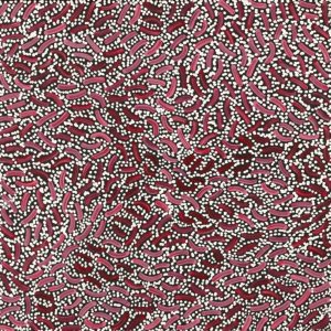 Warlukurlangu Jukurrpa (Fire country Dreaming) by Nathania Nangala Granites