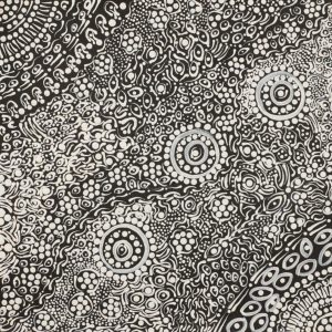 Wanakiji Jukurrpa (Bush Tomato Dreaming) by Margaret Napanangka Brown