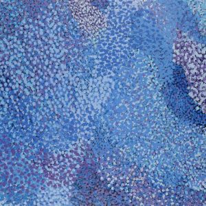 Wardapi Jukurrpa (Goanna Dreaming) - Yarripilangu by Ruth Nungarrayi Spencer
