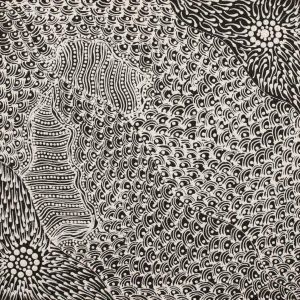 Pikilyi Jukurrpa (Vaughan Springs Dreaming) by Mary Napangardi Butcher
