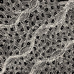 Watiya-warnu Jukurrpa (Seed Dreaming) by Tanya Nungarrayi Collins