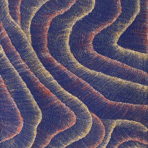 Wanakiji Jukurrpa (Bush Tomato Dreaming) by Debbie Napaljarri Brown