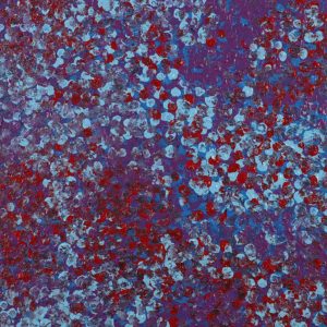 Wardapi Jukurrpa (Goanna Dreaming) - Yarripilangu by Ruth Nungarrayi Spencer