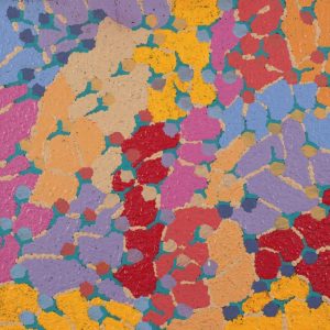 Wanakiji Jukurrpa (Bush Tomato Dreaming) by Charlene Napanangka Marshall