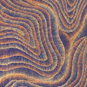 Wanakiji Jukurrpa (Bush Tomato Dreaming) by Debbie Napaljarri Brown