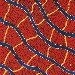 Warna Jukurrpa (Snake Dreaming) by Danilda Nakamarra White