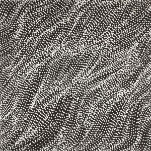 Watiya-warnu Jukurrpa (Seed Dreaming) by Marshall Jangala Robertson