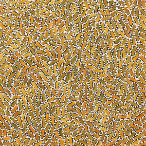 Warlukurlangu Jukurrpa (Fire country Dreaming) by Nathania Nangala Granites