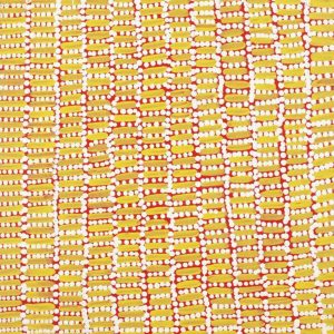 Ngapa Jukurrpa (Water Dreaming)  -  Puyurru by Trevina Nakamarra Gibson