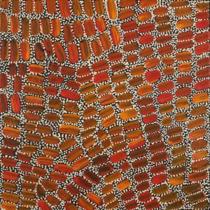 Patterns of the Landscape around Yuendumu by Savannah Napurrurla Ross